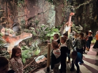 20231206_135918-kopiowanie-jpg1706635540